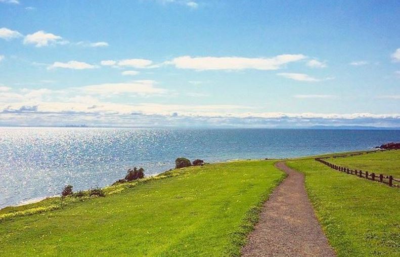 a large green landscape with a body of water