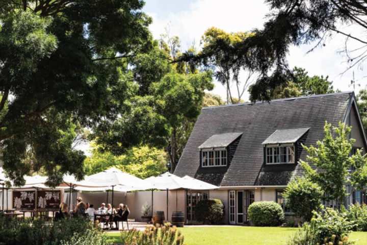 a house with bushes in front of a building