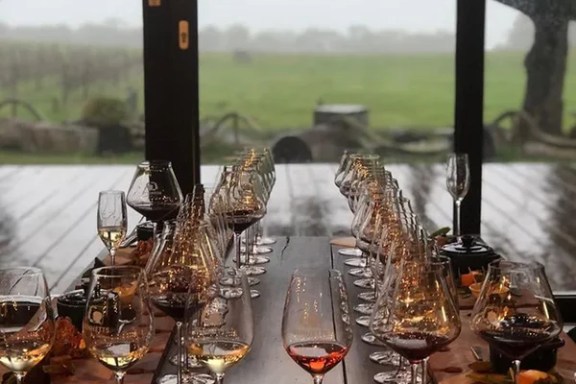 a group of people sitting at a table with wine glasses