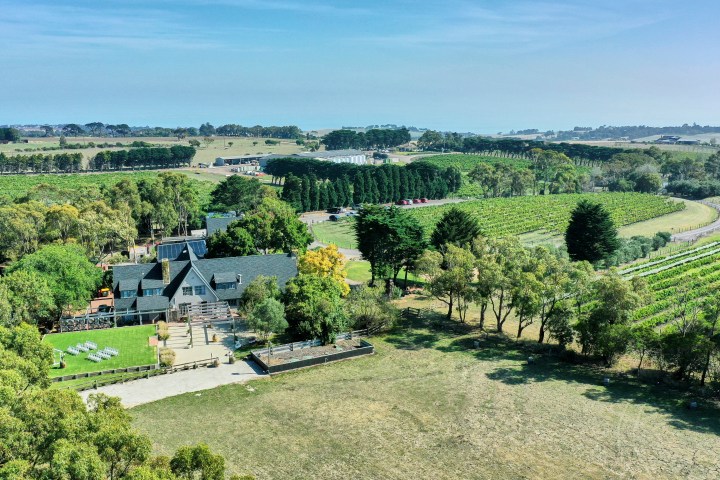 Aerial view of a vineyard estate with a house, surrounded by greenery under a clear blue sky.