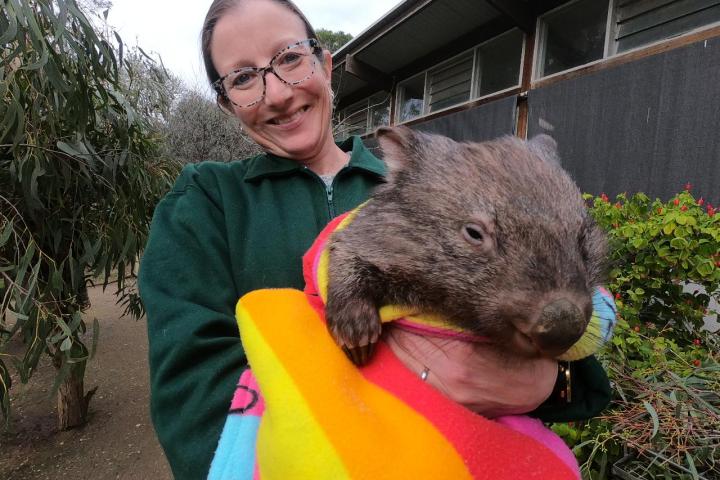 a man holding an animal