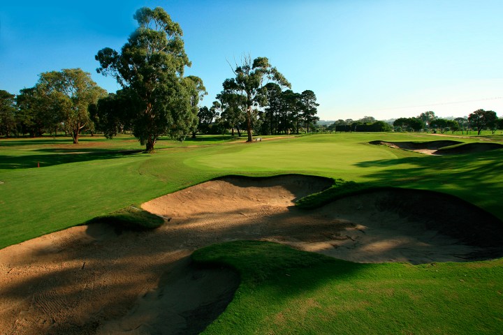 a close up of a green field with trees in the background