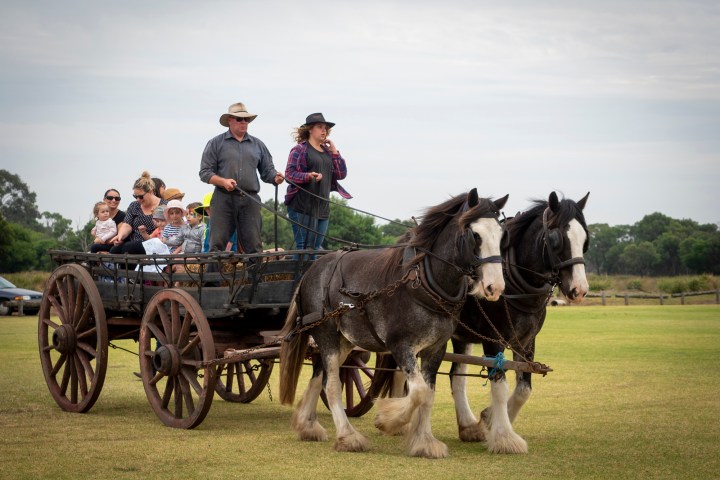 a man riding a horse drawn carriage