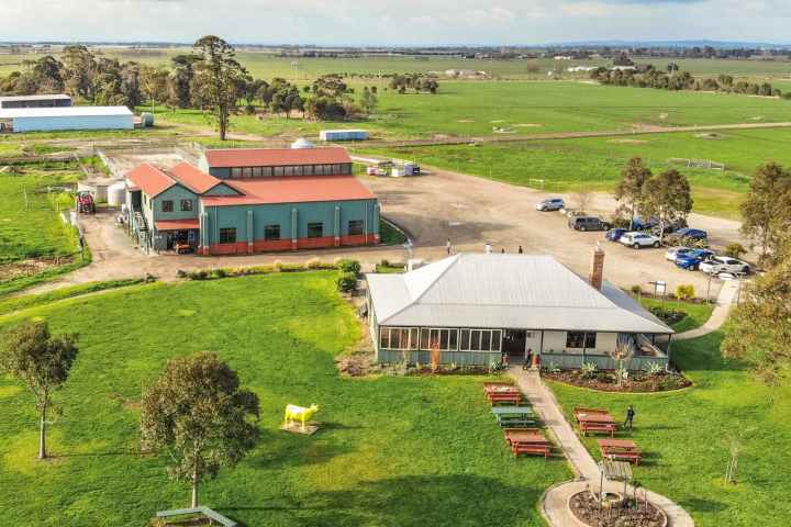 a group of people standing on a lush green field