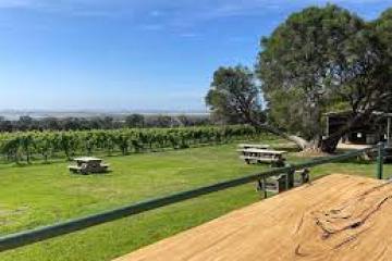 a large green field with trees in the background