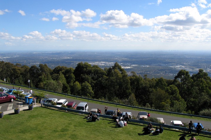 a group of people on a field
