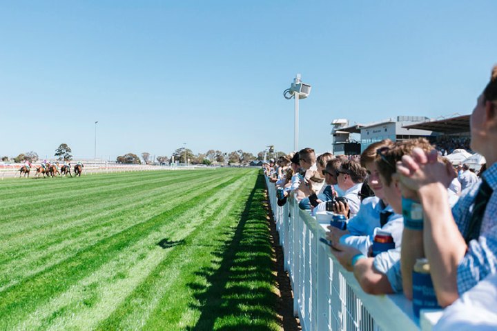 a man that is standing in the grass