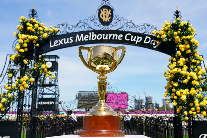 a close up of a flower