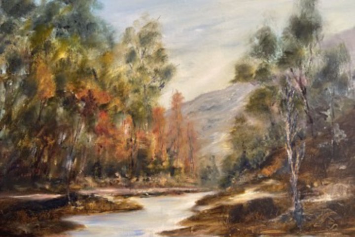 a river running through a forest