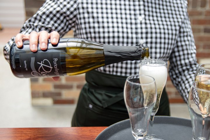 a person sitting at a table with a glass of wine