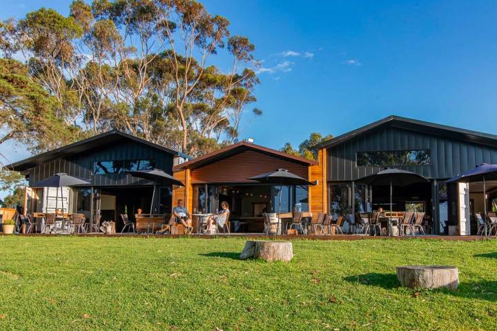 a house with trees in the front yard