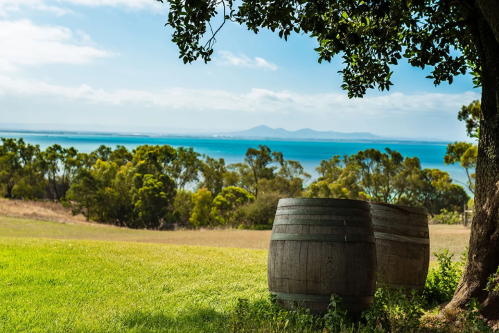 a barrel on a grassy hill