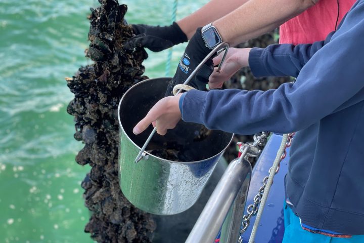a person holding a glass of water