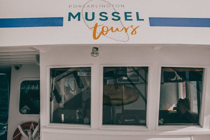 a person taking a selfie in a room