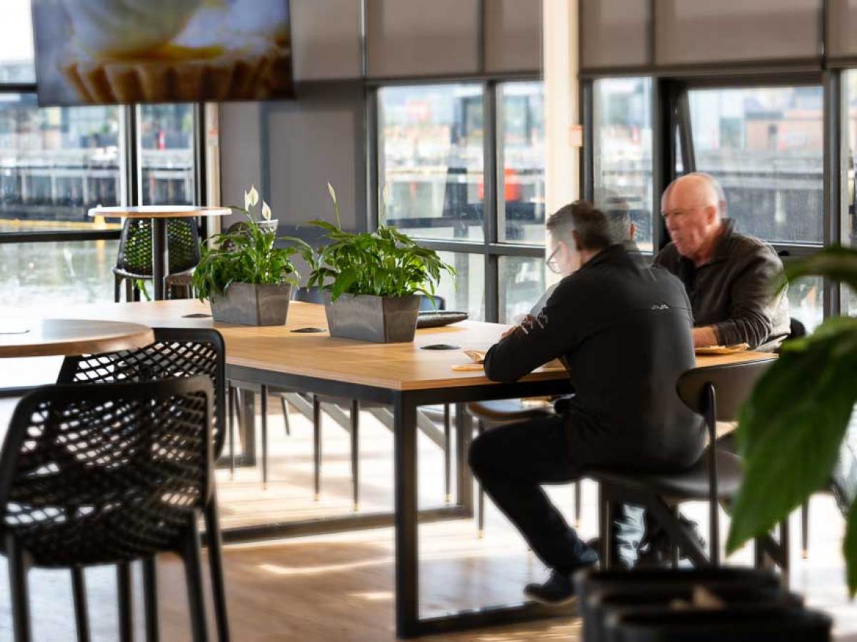 Two people sitting at a table with plants, bright room with large windows.