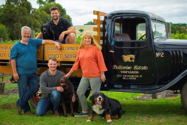 Family with dogs posing next to an old vineyard truck in a green field.